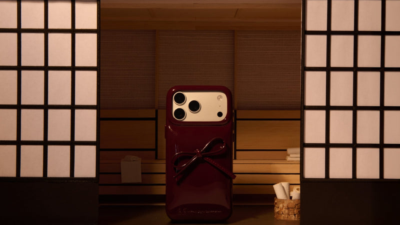 Holiday 2025 Case Closet