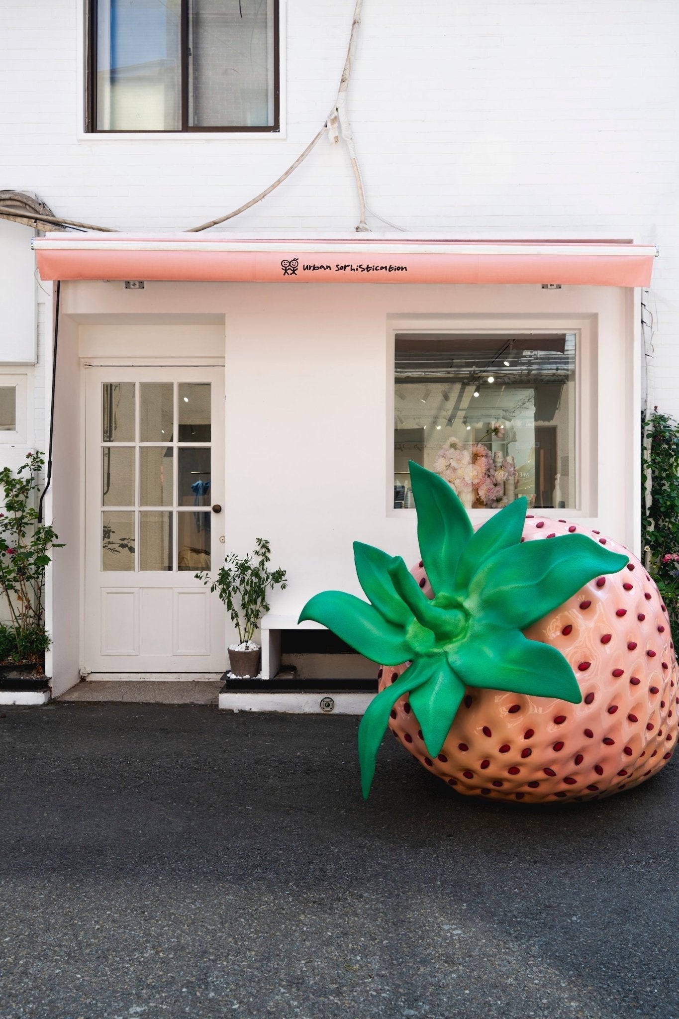 Strawberry Frozen Yogurt Shop