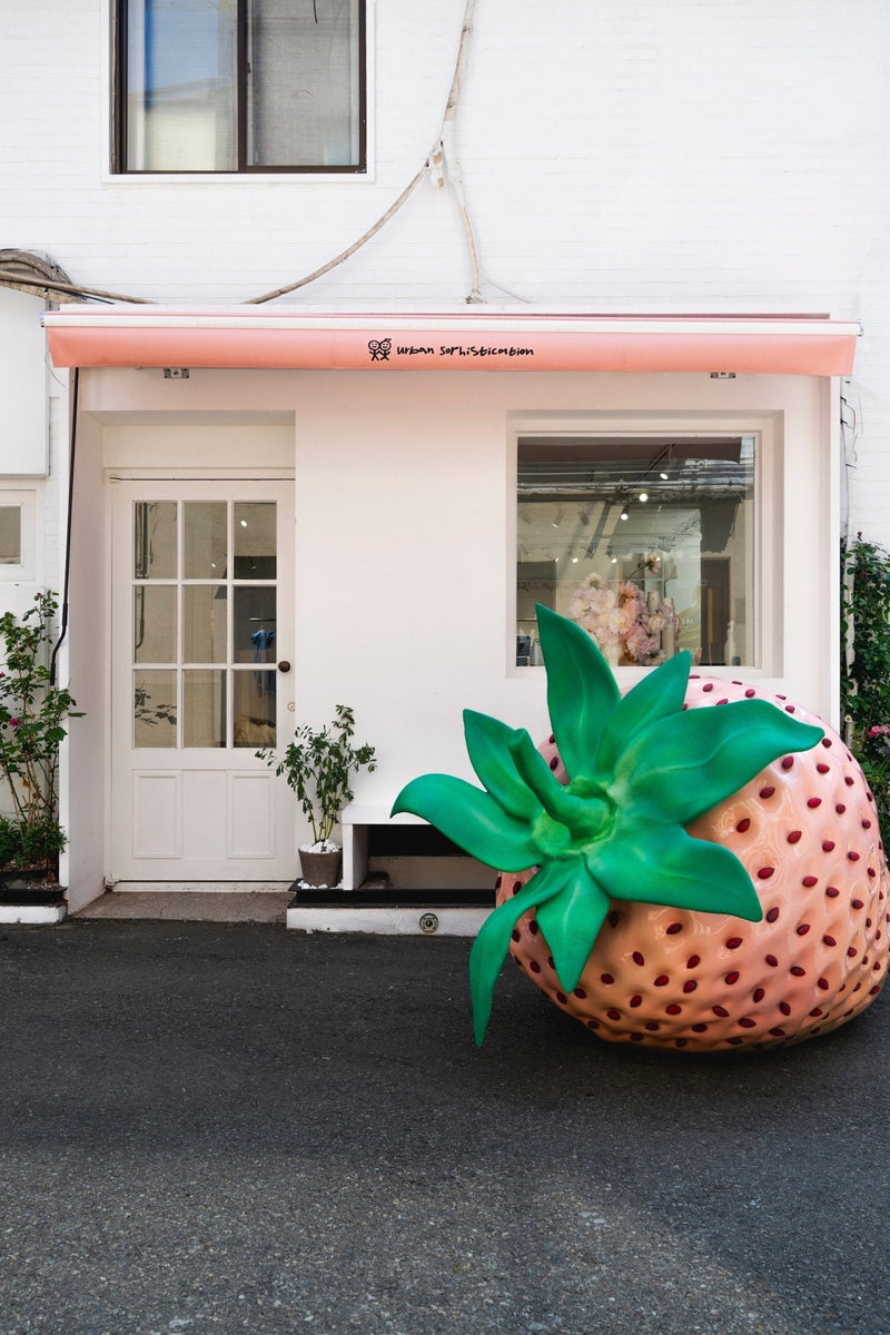 Strawberry Frozen Yogurt Shop