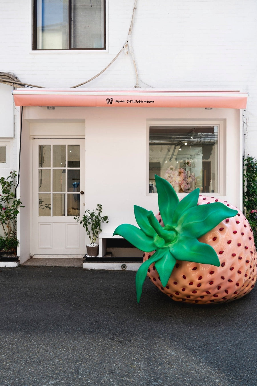 Strawberry Frozen Yogurt Shop