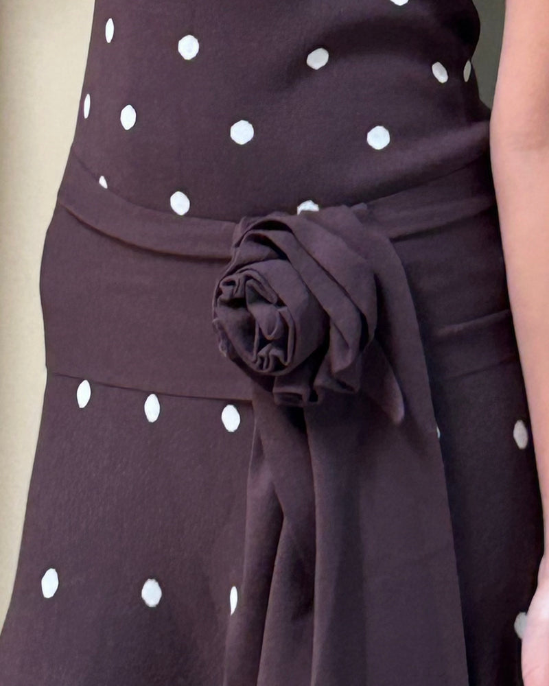 Waldorf Dress in Brown Polka Dots