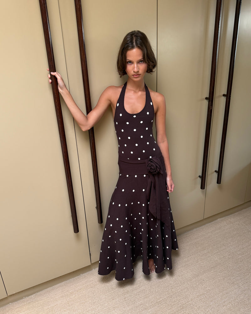 Waldorf Dress in Brown Polka Dots