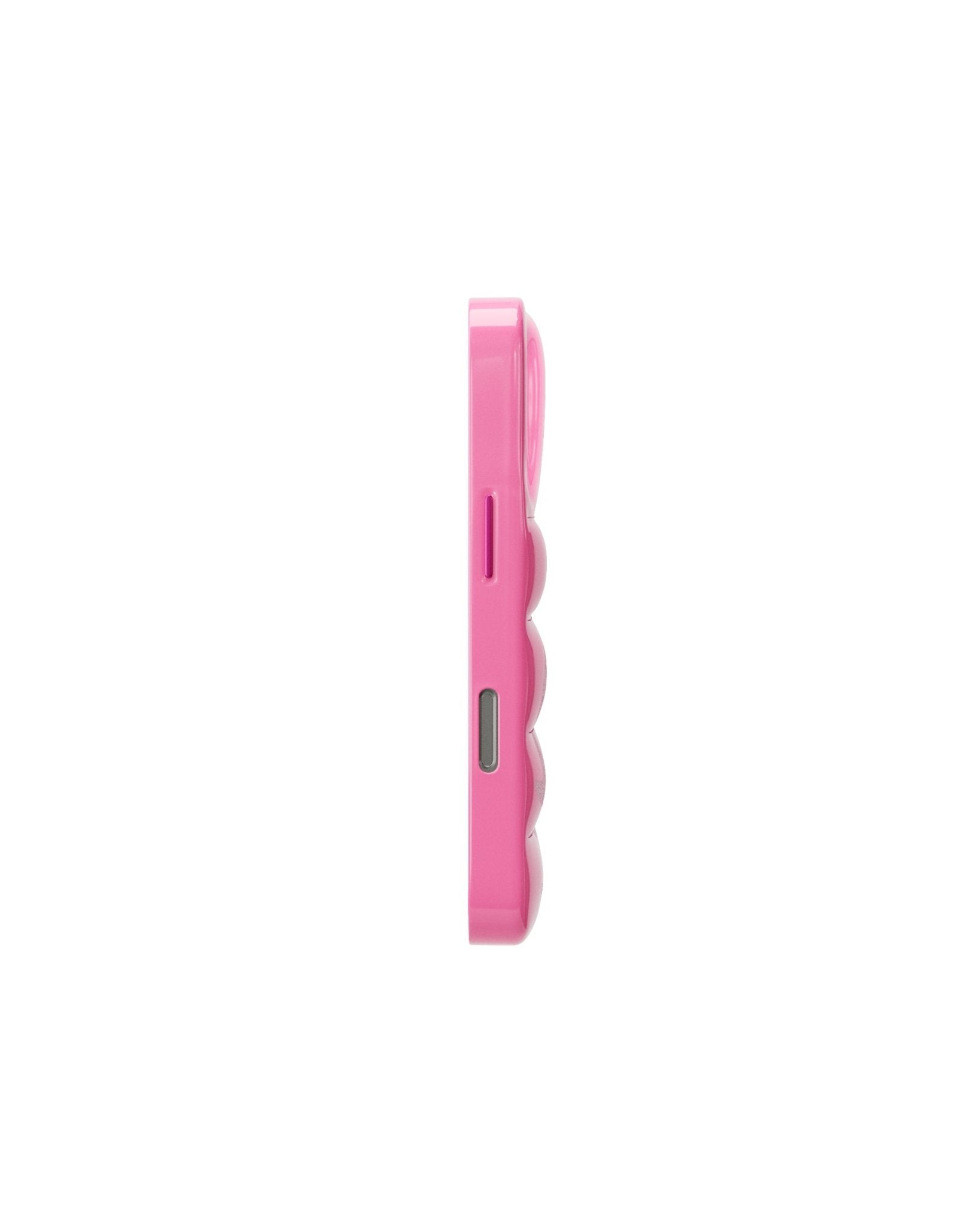 the-puffer-case-dolphin-
