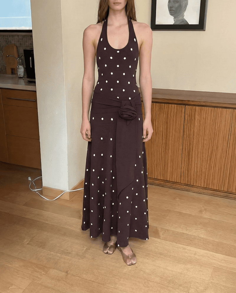 Waldorf Dress in Brown Polka Dots