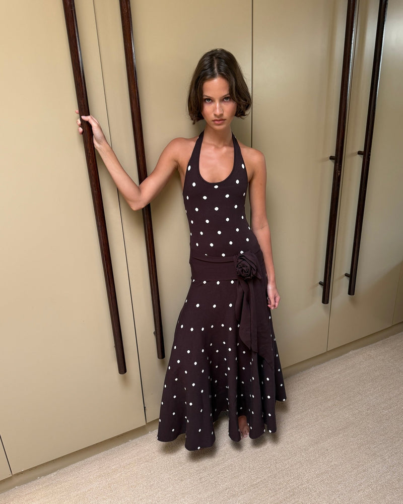 Waldorf Dress in Brown Polka Dots