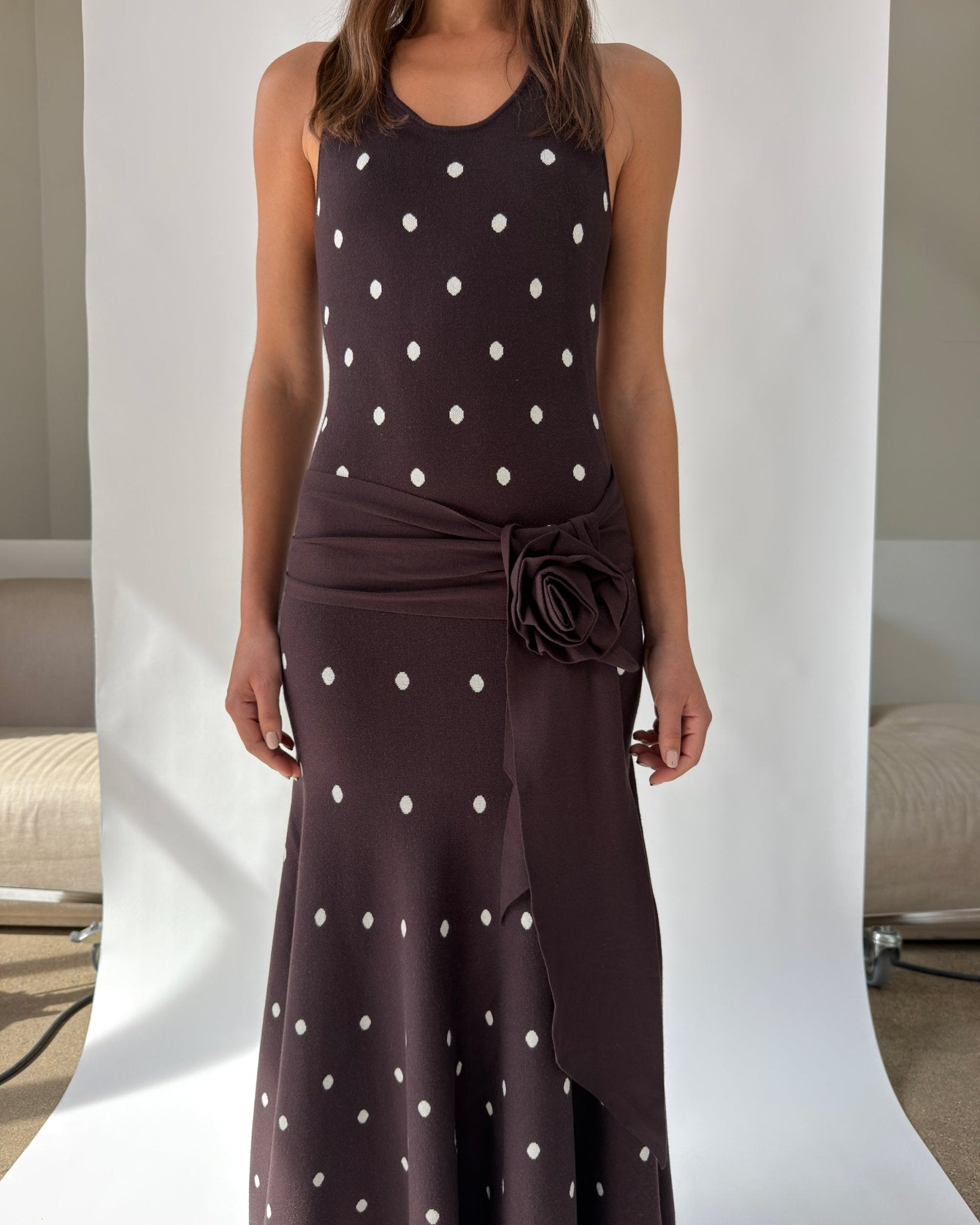 Waldorf Dress in Brown Polka Dots S