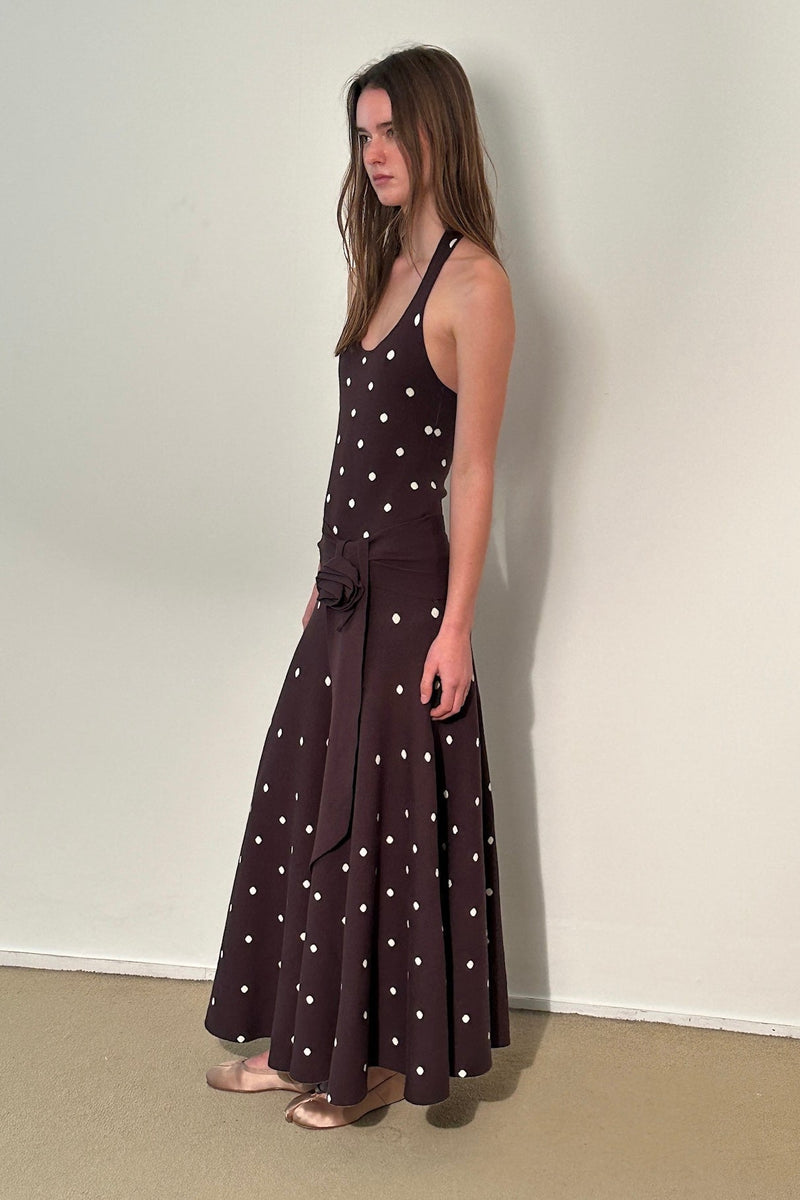 Waldorf Dress in Brown Polka Dress - Brown