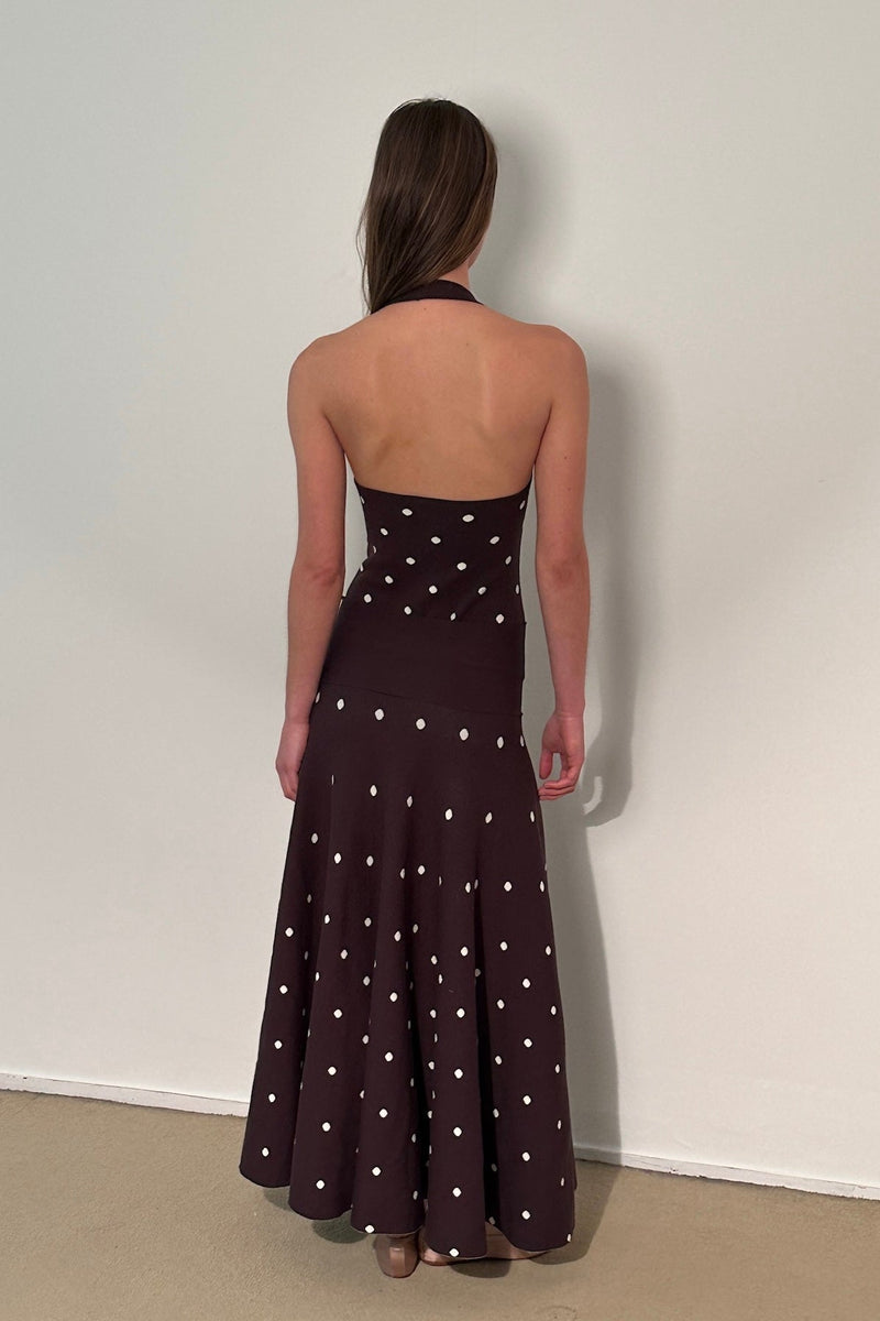 Waldorf Dress in Brown Polka Dress - Brown