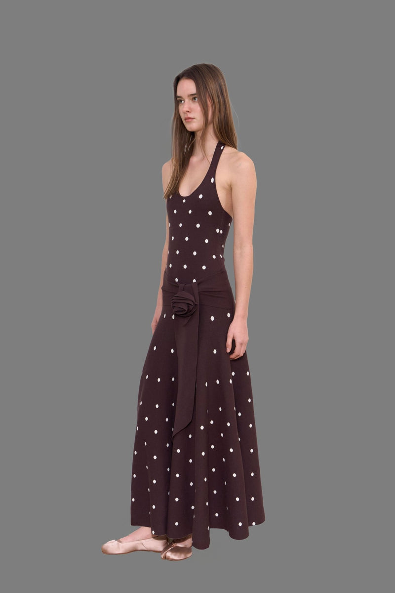 Waldorf Dress in Brown Polka Dots