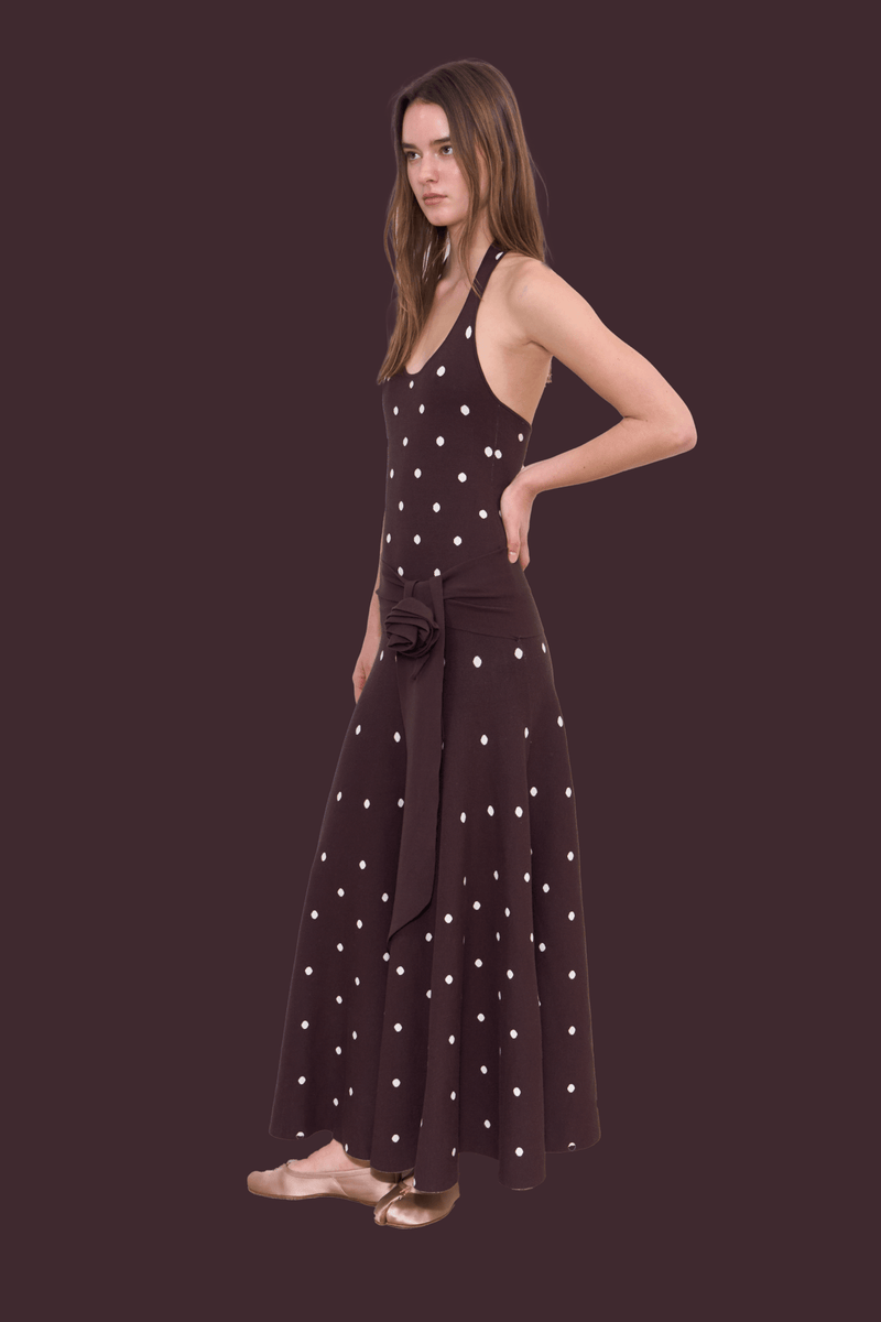 Waldorf Dress in Brown Polka Dress