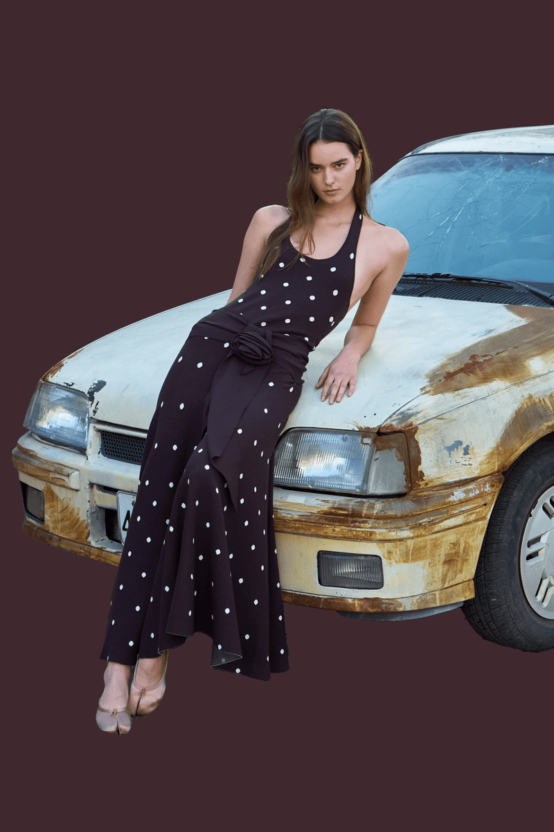 Waldorf Dress in Brown Polka Dress