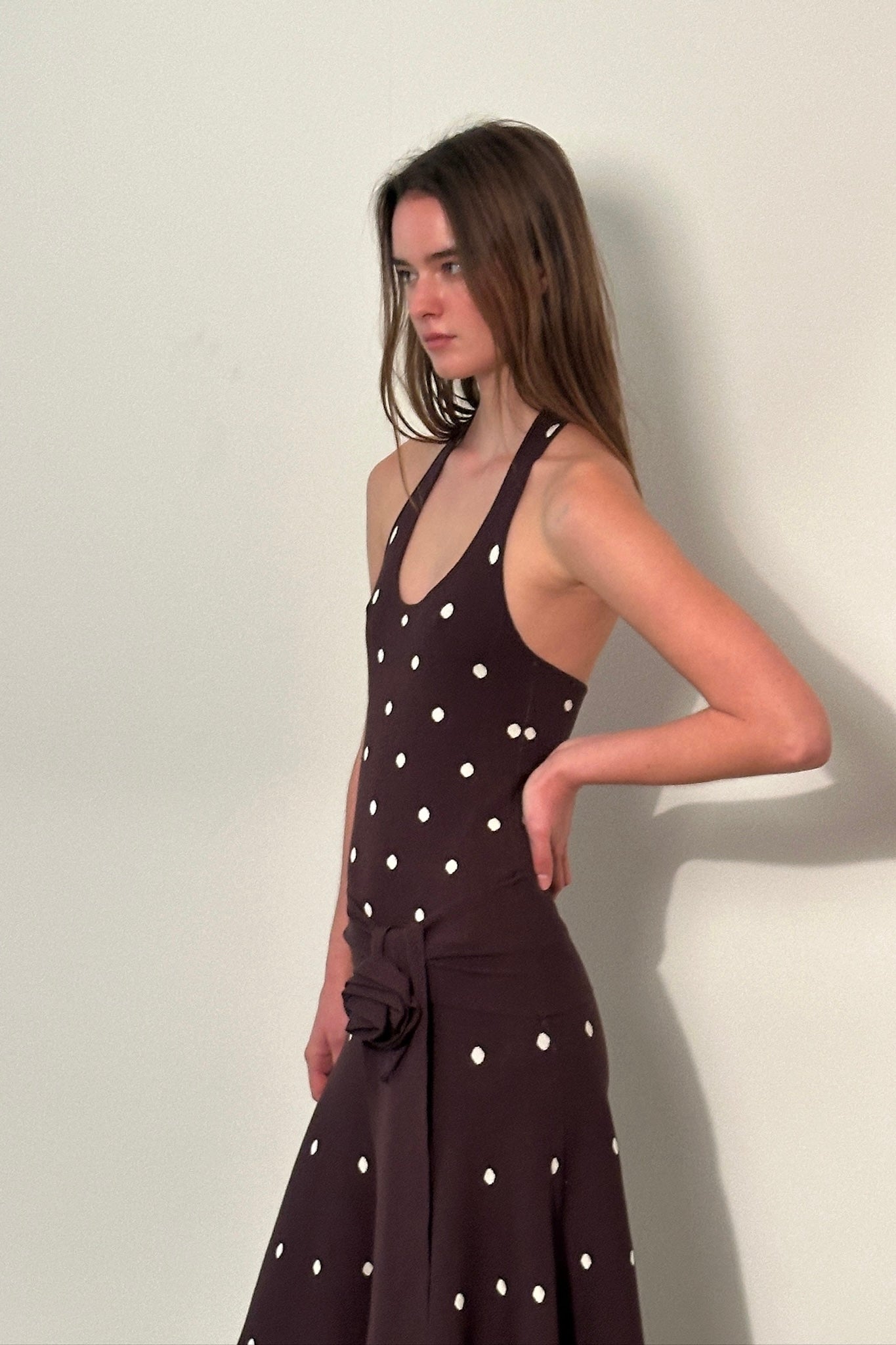 Waldorf Dress in Brown Polka Dress - Brown